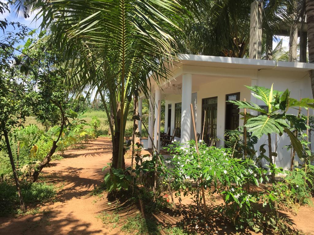 Shady Mango Villa Sigiriya Bagian luar foto